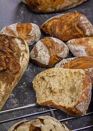 Klassische Weizenbrötchen. Rustikal ausgebackene Weizenbrötchen mit elastischer Krume.