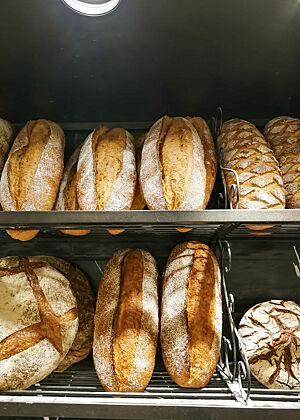Verschiedene Brote mit leicht bemehlter Kruste liegen in der Auslage einer Bäckerei.