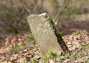 Ein schlichter, verwitterter Stein steht auf einer grasbewachsenen und mit Laub bedeckten Fläche.