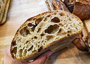 Blaires Mais-Ciabatta. Das kräftig ausgebackene Ciabatta hat eine grobporige, elastische Krume.