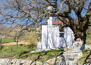 Die kleine Dorf-Moschee am Rande einer Straße ist hinter einem Baum gelegen.