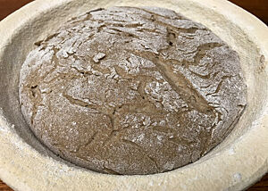 Roggenbrot-Teigling während der Stückgare. Ein Roggenbrot-Teigling liegt während der Stückgare im Gärkorb. Auf der bemehlter Oberfläche zeichnen sich bereits deutliche Risse ab.