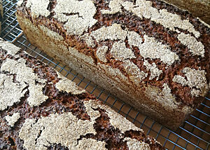 100 % Roggensauerteigbrote nach meiner Rezeptur gebacken für ein Slow-Food-Event in Burlington. Die kräftig ausgebackene Roggensauerteigbrote haben Risse auf der bemehlten Oberfläche.