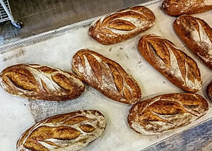 Die fertig gebackenen Brote haben künstlerische Schnittmuster auf der leicht bemehlten Oberfläche.