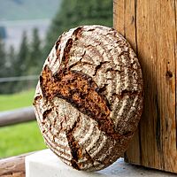 Ein rundes, rustikales Roggenbrot mit bemehlter Kruste steht senkrecht angelehnt an einem groben Holzbalken.