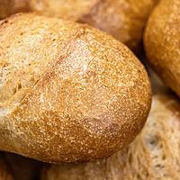 Weizenbrötchen mit gefensterter Kruste