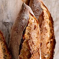 Die drei französischen Baguette haben eine rösche, dünne, bemehlte Kruste.