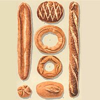 Eine Bildtafel mit typischen Broten aus Frankreich (aus Pusch 1901) zeigt sieben Brote verschiedener Größe und verschiedener Form. Unter Anderem ein Baguette, ein längliches Brot, ein Brötchen und zwei Ringe.