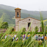 Grüne Getreideähren, dahinter die Brotfestteilnehmer im Feld vor einem Natursteingebäude mit Glockenturm.