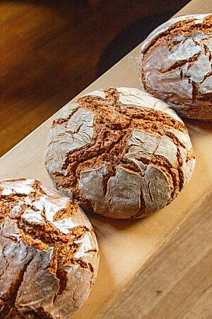 Drei kräftig ausgebackene und rustikal aufgerissene Sauerteigbrote auf einem Holzbrett.