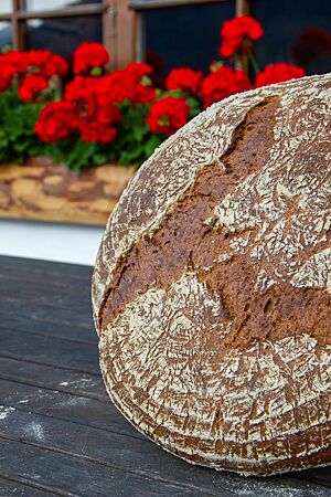 Ankunftsbrot. Das große, runde Ankunftsbrot steht aufgerichtet vor der Alm auf einem Tisch. Ein netter Willkommensgruß an die Kursteilnehmer.