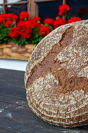 Das große, runde Ankunftsbrot steht aufgerichtet vor der Alm auf einem Tisch. Ein netter Willkommensgruß an die Kursteilnehmer.