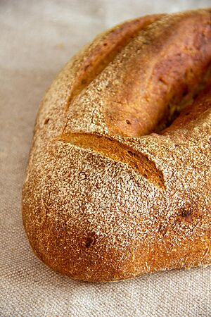 Das Apfel-Olivenöl-Brot hat eine leicht bemehlte Kruste und ist zum Bâtard geformt. Es wurde in der Mitte mit der Teigkarte durchtrennt und an den Rändern eingeschnitten.