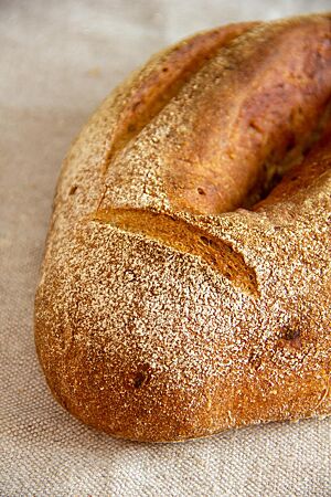 Apfel-Olivenöl-Brot. Das Apfel-Olivenöl-Brot hat eine leicht bemehlte Kruste und ist zum Bâtard geformt. Es wurde in der Mitte mit der Teigkarte durchtrennt und an den Rändern eingeschnitten.