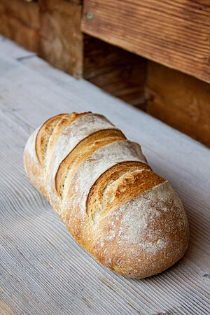 Banater Weißbrot. Ein dreimal quer eingeschnittenes, goldbraun ausgebackenes Weißbrot liegt auf einem rustikalen Holztisch.