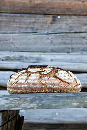 Bergkruste (Sauerteigbrot mit Roggen und Dinkel). Ein rustikal aufgerissenes, kräftig ausgebackenes Sauerteigbrot liegt vor einer verwitterten Holzfassade.