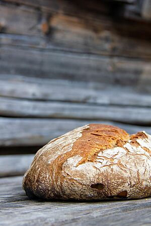Dinkel-Emmer-Kastanien-Brot. Ein ovaler, recht flacher Laib mit bemehlter Kruste und rustikalem Ausbund liegt auf einem grauen Holztisch.