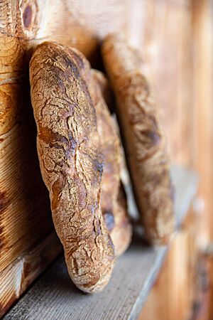 Dinkelfladen. Runde Fladenbrote mit dunkelbrauner Kruste lehnen senkrecht an einer Holzwand.