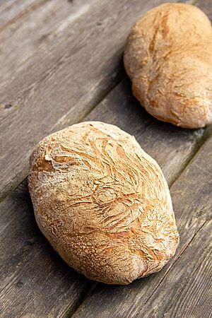 Einfaches Ciabatta. Zwei goldgelb ausgebackene Laibe Ciabatta mit glatter, leicht bemehlter Kruste liegen auf einem grauen Holztisch.
