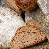 Zwei Scheiben des Brotes zeigen die lockere, kleinporige Krume.