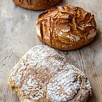 Drei verschiedene Versionen des Hafer-Dinkel-Brotes liegen hintereinander auf einem Holztisch, wodurch sich die erheblichen Unterschiede in Ausbund und Form gut erkennen lassen.