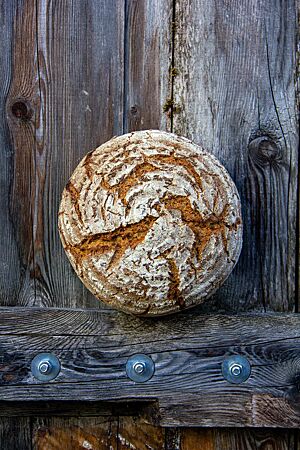 Das kräftig ausgebackene, rustikal aufgerissene Jacobsbrot mit bemehlter Kruste lehnt an einer Holzwand.