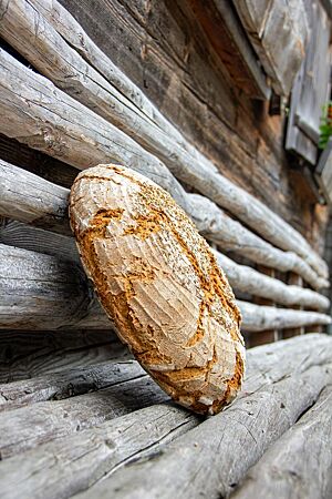 Kärntner Bauernbrot. Das rustikal aufgerissene, leicht bemehlte Kärntner Bauernbrot mit Brotgewürz auf der Kruste lehnt an einer rustikalen Holzbank.