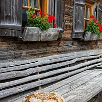 Das im Holzofen gebackene Kärntner Bauernbrot liegt auf einer Bank neben einer Holzhütte.