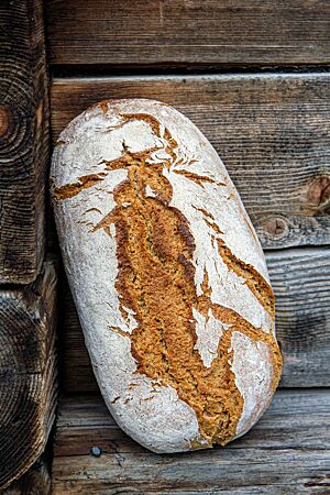 Langer Bauernlaib. Ein rustikal aufgerissenes Roggenmischbrot mit bemehlter Kruste lehnt an einer rustikalen Holzfassade.