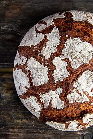 Das kräftig ausgebackene, rustikal aufgerissene Lichtkornroggenbrot mit bemehlter Kruste liegt auf einem dunklen Holztisch.