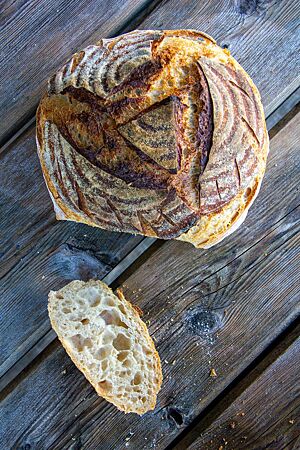 Mildes Weizensauerteigbrot: wattige, saftige Krume umgeben von knuspriger, krosser Kruste. Angeschnitten zeigt das Weizensauerteigbrot die luftige, unregelmäßige Porung.