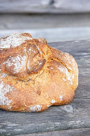 Dinkel-Maggiabrot. Das kräftig ausgebackene, rustikal aufgerissene Maggiabrot mit leicht bemehlter Kruste liegt auf einem Holztisch.