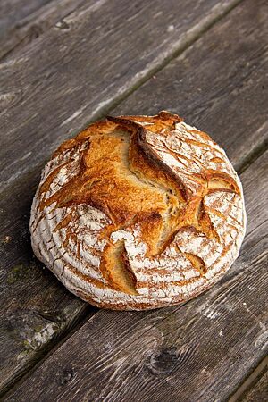 Weizensauerteigbrot mit drei Sauerteigen. Das kräftig ausgebackene Weizensauerteigbrot mit rustikal aufgerissener Kruste liegt auf einem Holztisch.