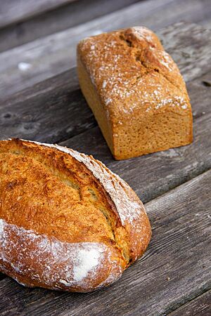 Zwei kräftig ausgebackene, rustikal aufgerissene Brote mit leicht bemehlter Kruste liegen auf einem Holztisch: links das ovale Brot aus hellem Landweizen, rechts das Kastenbrot aus Landweizenvollkornmehl.