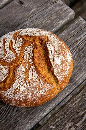 Pane Rustico (fester Teig). Das kräftig ausgebackene, leicht bemehlte Pane Rustico aus festem Teig liegt auf einem rustikalen Holztisch.