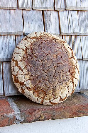 Ein kräftig ausgebackenes, bemehltes Roggenmischbrot zeigt viele Risse auf der Oberfläche und einen Mehlring am äußeren Krustenrand.