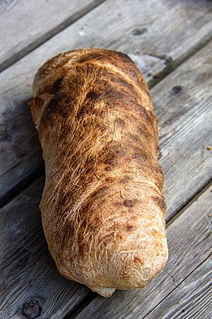 Ein kräftig ausgebackenes Ciabatta mit glatter Kruste liegt auf einem rustikalen Holztisch.