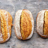 Das Sauerteigbrot aus Laufener Landweizen (Mitte) hat mehr Stand als das Brot aus Oberkulmer Rotkorn (links) und ist fast so voluminös wie das Brot aus Copper (rechts).