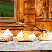 Drei Brote mit abnehmendem Volumen liegen nebeneinander: Copper (links), Laufener Landweizen hell (Mitte), Oberkulmer Rotkorn (rechts).