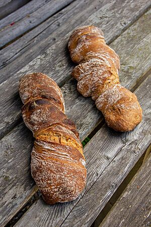 Strohsackbrot (Pain Paillasse). unglaublich aromatisch und vielfältig aufgrund der langen Stockgare.