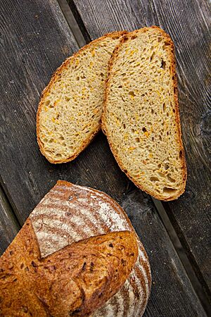 Tobias’ Kürbisruchbrot: unglaublich fluffig. Zwei Scheiben des Kürbisruchbrotes zeigen die elastische, fluffige und saftige Krume.