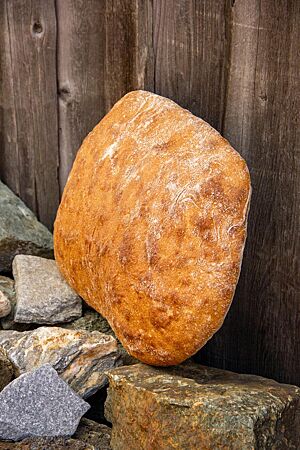 Pane Pugliese. Das eckige, hellbraun ausgebackene Pane Pugliese lehnt an einer rustikalen Holzwand.