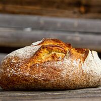 Das kräftig ausgebackene, rustikal aufgerissene Weizensauerteigbrot mit Hartweizen liegt auf einem Holztisch.