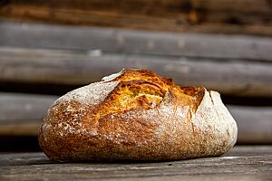 Das kräftig ausgebackene, rustikal aufgerissene Weizensauerteigbrot mit Hartweizen liegt auf einem Holztisch.