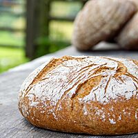 <p>Das ausgebackene, rustikal aufgerissene Dinkelvollkornbrot mit bemehlter Kruste liegt auf einem Holztisch.</p>