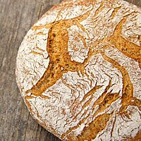 <p>Das Dinkelvollkornbrot mit leicht bemehlter Kruste ist rustikal aufgerissen.</p>