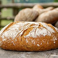 <p>Das Dinkelvollkornbrot hat eine goldgelbe, leicht bemehlte Kruste.</p>