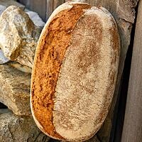 Das Weizencuvée-Brot lehnt mit krosser, kräftig ausgebackener Kruste an einer Holzwand.