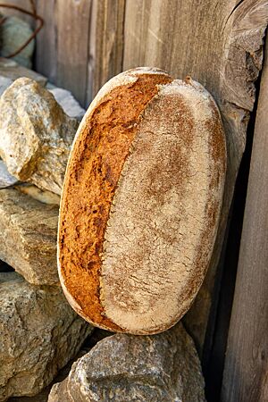 Das Weizencuvée-Brot lehnt mit krosser, kräftig ausgebackener Kruste an einer Holzwand.