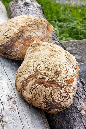 Ein kräftig ausgebackenes Weizenmischbrot mit glatter, bemehlter Kruste auf rustikalen Holzbalken.